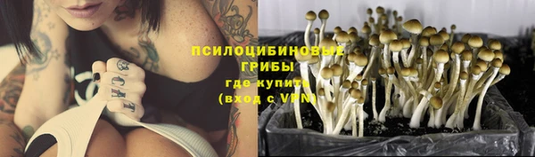 бутират Армянск