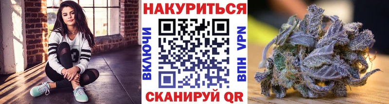 где купить наркоту  Стародуб  ссылка на мегу сайт  Конопля ГИДРОПОН 